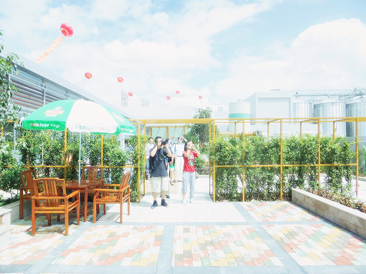 揭陽青島啤酒廠空中花園景觀工程