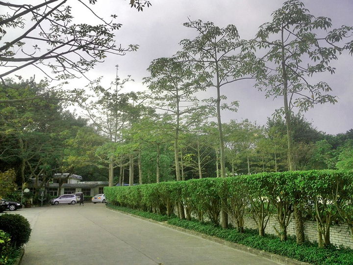 東湖公園綠化養(yǎng)護(hù)