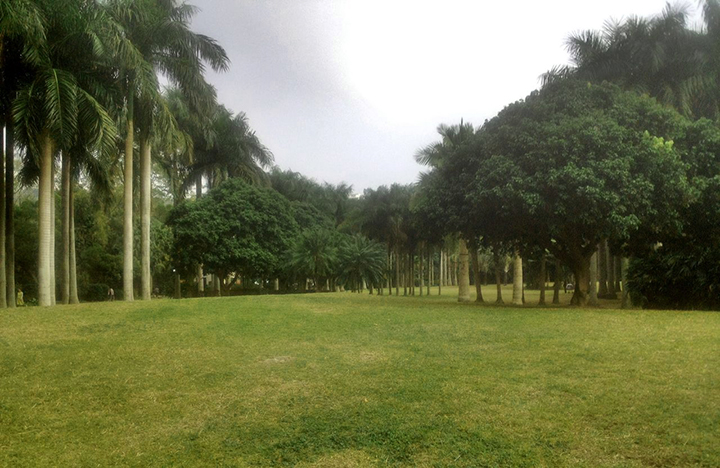 東湖公園綠化養(yǎng)護(hù)