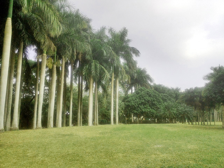 東湖公園綠化養(yǎng)護(hù)