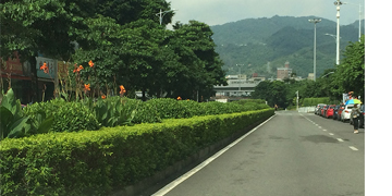 深圳布吉街道管養(yǎng)服務(wù)