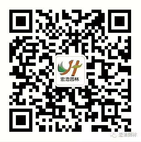 掃一掃，關(guān)注宏浩